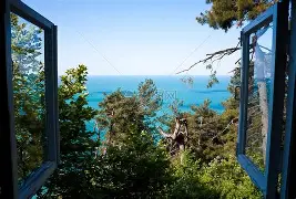 课程目标的四种取向