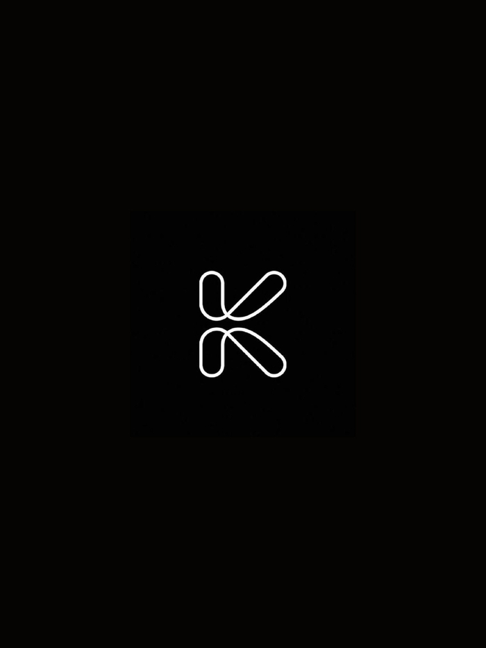 开云体育下载网址-k